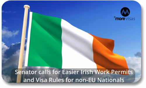 Senator calls for Easier Irish Work Permits and Visa Rules for non-EU Nationals