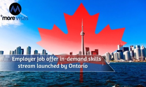 skills to offer an employer